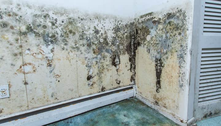 Mold-Damager-Odor-Control In Nashville