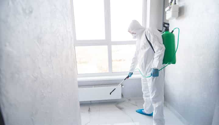 Mold-Inspection In Nashville